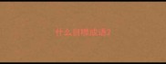 什么目噤成语