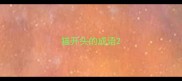 猫开头的成语