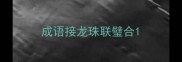 成语接龙珠联璧合