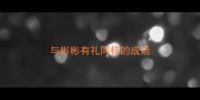 与彬彬有礼同样的成语