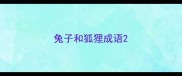 兔子和狐狸成语
