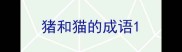 猪和猫的成语