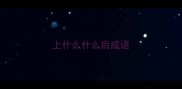 上什么什么后成语