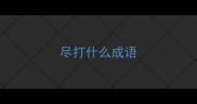 尽打什么成语