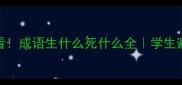 高考必看成语生什么死什么全学生避坑指南