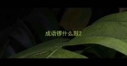成语锣什么鼓