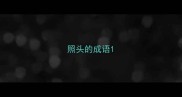 照头的成语