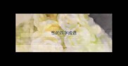 性的四字成语