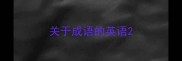 关于成语的英语