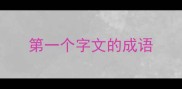 第一个字文的成语