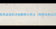 20个最常用成语的详细解释与用法附例句和记忆技巧