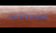 含有日字的成语
