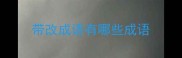 带改成语有哪些成语