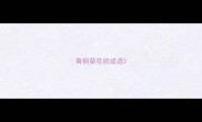 青铜葵花的成语