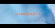 鸡飞狗跳是成语吗
