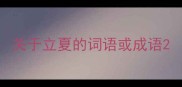 关于立夏的词语或成语