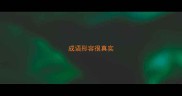 成语形容很真实