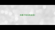 和墨子有关的成语