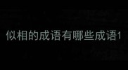 似相的成语有哪些成语