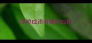 照鸡成语有哪些成语