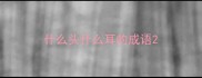 什么头什么耳的成语