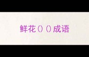 鲜花成语