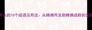 蜂字开头的10个成语及用法从蜂拥而至到蜂拥成群的深度解读