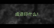 成语印什么