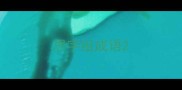思字组成语