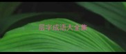 层字成语大全集