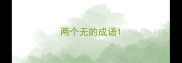 两个无的成语