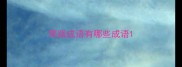 带路成语有哪些成语