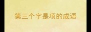 第三个字是项的成语