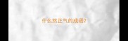 什么然正气的成语