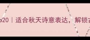 有秋叶的成语Top20适合秋天诗意表达解锁古诗词中的意境美