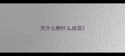 天什么酬什么成语