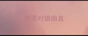 成语对错曲直