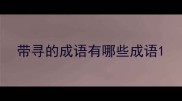 带寻的成语有哪些成语
