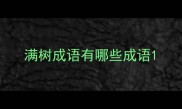 满树成语有哪些成语