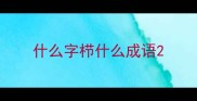 什么字栉什么成语