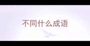 不同什么成语