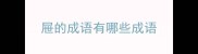 屉的成语有哪些成语