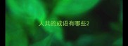 人共的成语有哪些