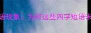 汉语非成语现象为何这些四字短语未被收录