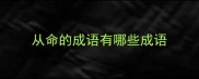 从命的成语有哪些成语