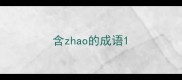含zhao的成语