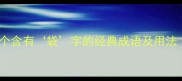 袋中捉鳖15个含有袋字的经典成语及用法家长必读
