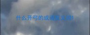 什么开弓的成语反义词