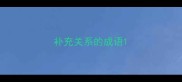 补充关系的成语