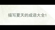描写夏天的成语大全